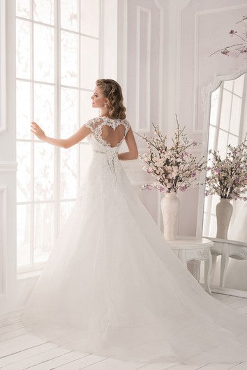 Crystal Detailing Cap Sleeve Heart Back Applique Dress
