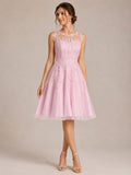 Scoop Neckline Sleeveless A-line Knee Length Lace Dress