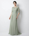 Half Sleeve Bateau Lace and Chiffon Column Dress