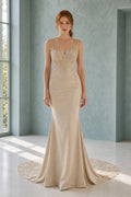 Champagne V-neck Mermaid Lace Floor-length Formal Dress With Lace and Train