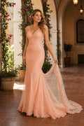 Blush V-neck Sleeveless Mermaid Lace Floor-Length Dress With Sweep Train