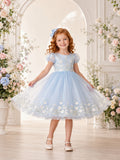 Sky Blue Floral Vine Flower Girl Dress with Puff Sleeves, Botanical Embroidery, Tulle A-Line, and Tea-Length Skirt front view