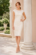 Dusty Rose Bodycon Cocktail Dress front view