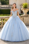 Sky Blue Off-the-Shoulder Tulle Ball Gown with Applique Bodice front view