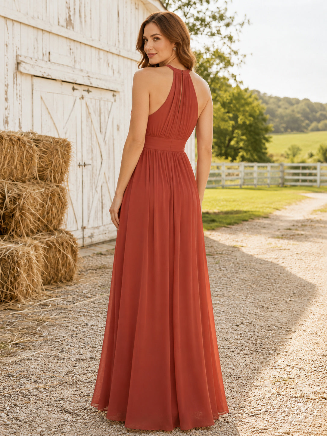 Terracotta Chiffon A-Line Halter High Neck Sleeveless Pleated Open Back Floor-Length Bridesmaid Dress back view