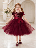 Burgundy Flower Girl A-Line Velvet Tulle Jewel Neck Puff Sleeve Floral Embroidery Dress front view