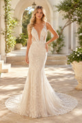 Ivory Spaghetti V-Neck Lace Mermaid Wedding Dress Sweep Train for Wedding Ceremony and Reception front view