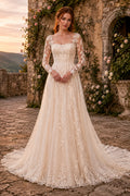 Champagne Illusion Long Sleeve Lace A-Line Wedding Dress with Soft Tulle Skirt and Train front view