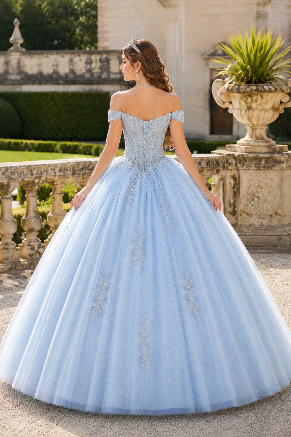 Sky Blue Off-the-Shoulder Tulle Ball Gown with Applique Bodice back view