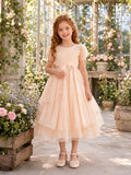 Simple A-Line Flower Girl Dress with Scoop Neck Cap Sleeves Blushing Pink Tulle Garden Reception front view