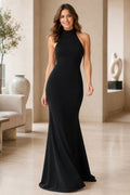 Black High Neck Sleeveless Sheath Evening Dress with Simple Floor Skirt front view