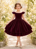 Plum Velvet Layered A-Line Flower Girl Party Dress with Cap Sleeves Ruffles and Bow front view