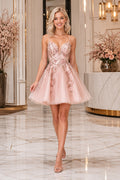 Blushing Pink Deep V Tulle A-Line Mini Dress with Lace Applique Bodice front view