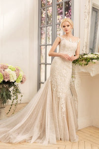 Sheath Long Bateau Cap-Sleeve Illusion Lace Tulle Dress With Appliques And Pleats