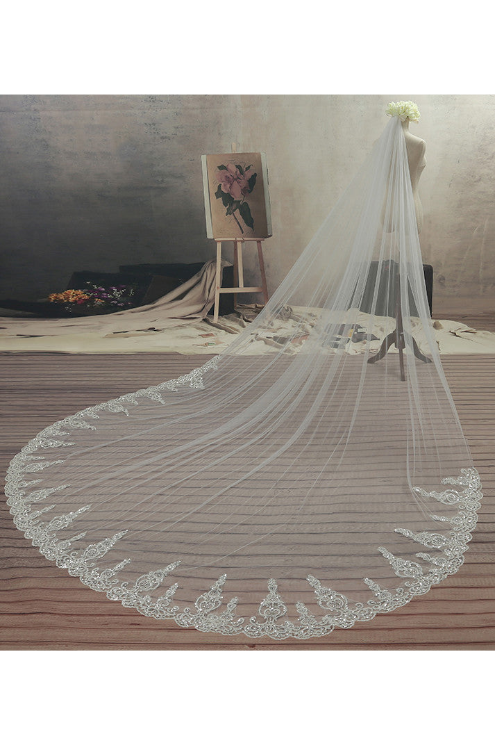 Ethereal Style Cathedral Tulle Wedding Veil with Lace Edge