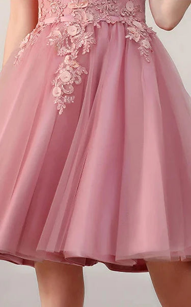 Blush Off-the-shoulder Empire Tulle Lace Applique Pleated Floor-length Prom Dress