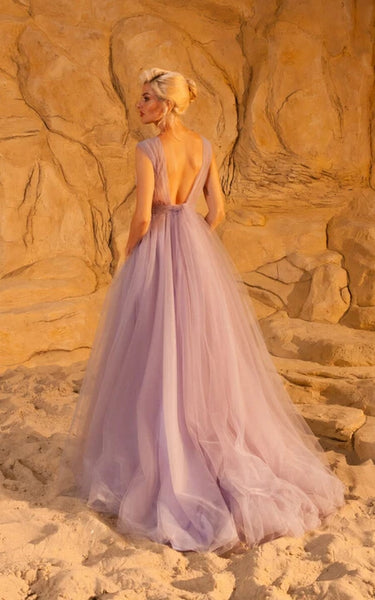 Plunged Chiffon Cap Empire Pleated A-line Prom Dress with Bow and Low-v Back