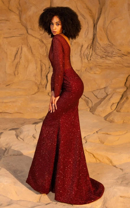 Šaty na ples s dlouhým rukávem, pouzdrové, s hlubokým výstřihem do V a flitry