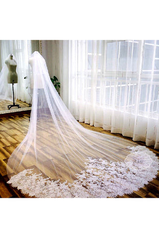 Romantic Tulle Long Wedding Veil with Lace Edge