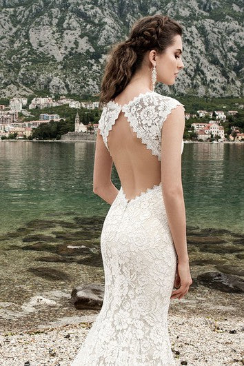 Etui-Linie, lang, Rundhalsausschnitt, Flügelärmel, Schlüsselloch, Spitzenkleid mit Schlüsselloch