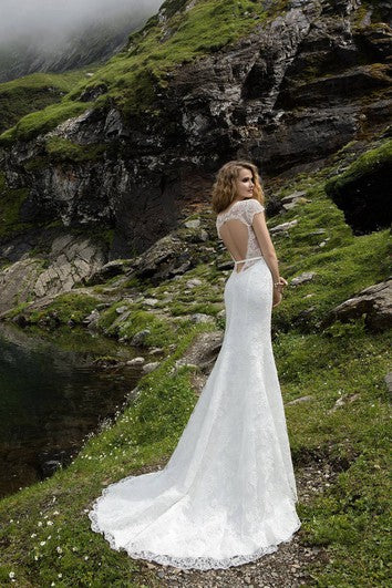 Šaty s výstřihem do V, bez zad, s krátkými rukávy a krajkovým pouzdrovým střihem