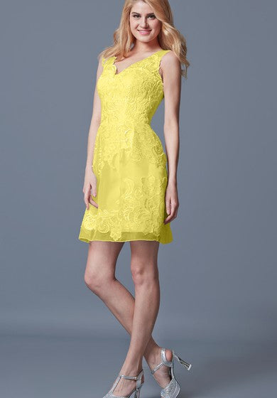 Elegant Sleeveless A-line Short Lace Dress With Pleats